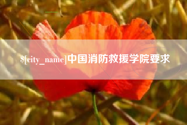 单县中国消防救援学院要求