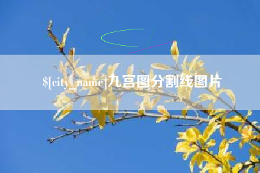 单县九宫图分割线图片