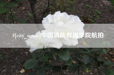 单县中国消防救援学院航拍