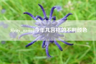 单县今年九宫格的不利颜色
