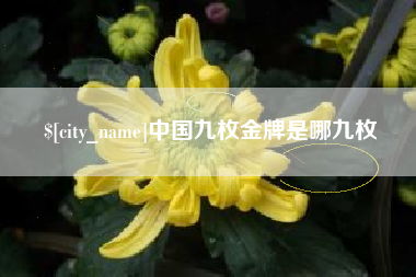 单县中国九枚金牌是哪九枚