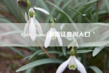 单县消防证查询入口