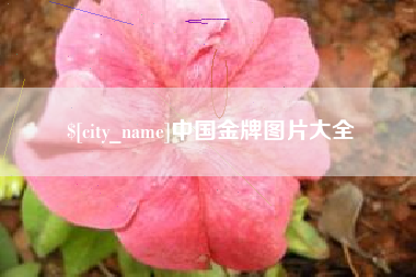 单县中国金牌图片大全