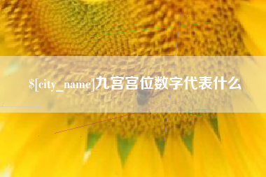 单县九宫宫位数字代表什么