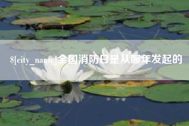 单县全国消防日是从哪年发起的