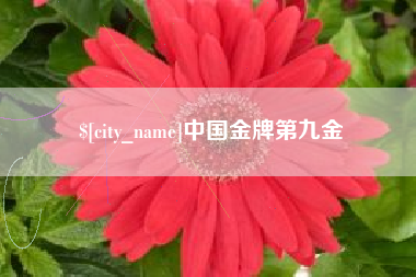 单县中国金牌第九金