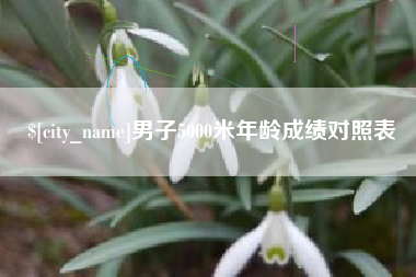 单县男子5000米年龄成绩对照表