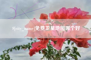 单县免费卫星地图哪个好