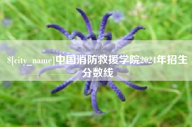 单县中国消防救援学院2024年招生分数线