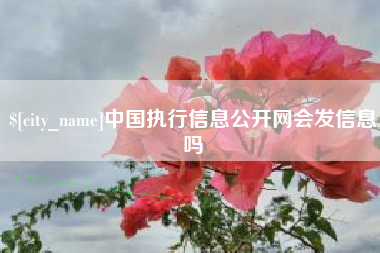 单县中国执行信息公开网会发信息吗