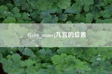 单县九宫的位置