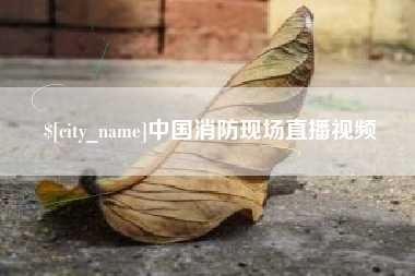 单县中国消防现场直播视频