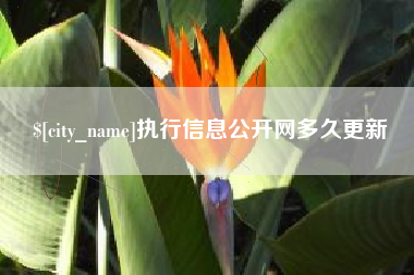 单县执行信息公开网多久更新