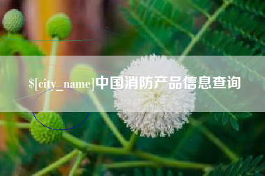 单县中国消防产品信息查询