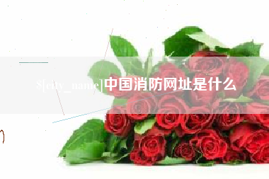 单县中国消防网址是什么