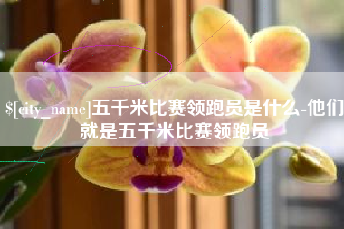 单县五千米比赛领跑员是什么-他们就是五千米比赛领跑员