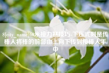 单县60米接力赛技巧-下压式则是传棒人将棒的前部由上向下传到接棒人手中