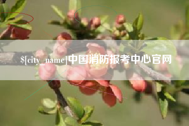 单县中国消防报考中心官网