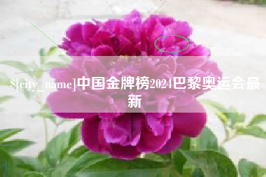 单县中国金牌榜2024巴黎奥运会最新