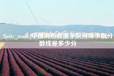 单县中国消防救援学院河南录取分数线是多少分