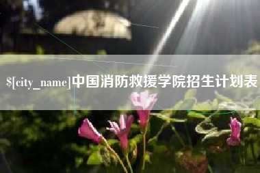 单县中国消防救援学院招生计划表