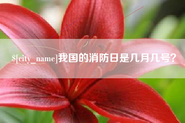 单县我国的消防日是几月几号？