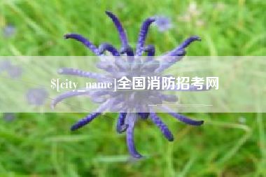 单县全国消防招考网