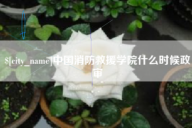 单县中国消防救援学院什么时候政审