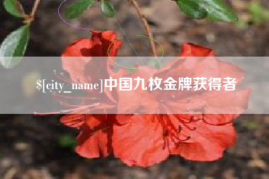 单县中国九枚金牌获得者