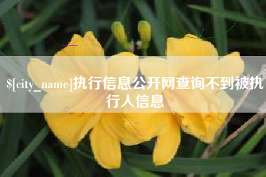 单县执行信息公开网查询不到被执行人信息