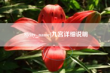 单县九宫详细说明