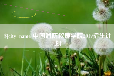 单县中国消防救援学院2019招生计划