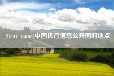 单县中国执行信息公开网的地点