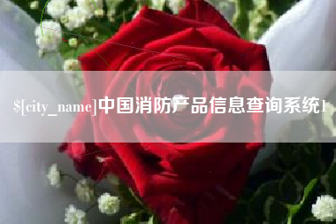 单县中国消防产品信息查询系统1