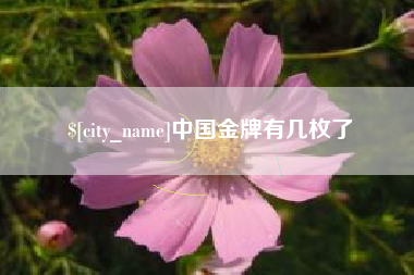 单县中国金牌有几枚了