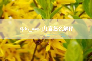 单县九宫怎么解释