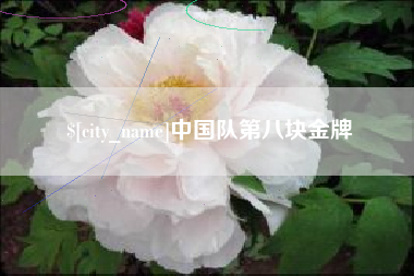 单县中国队第八块金牌