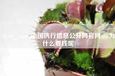单县中国执行信息公开网官网app为什么要钱呢