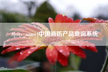 单县中国消防产品查询系统