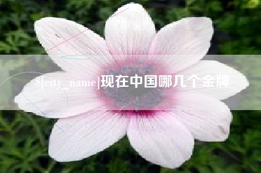单县现在中国哪几个金牌