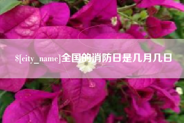 单县全国的消防日是几月几日