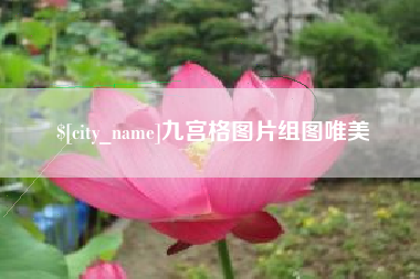 单县九宫格图片组图唯美