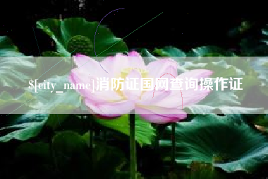 单县消防证国网查询操作证