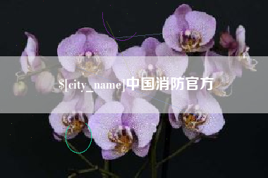 单县中国消防官方