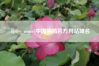 单县中国消防官方网站域名