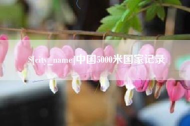 单县中国5000米国家记录