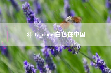 单县白色在中国