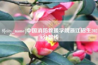 单县中国消防救援学院浙江招生2020分数线