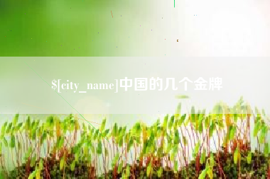 单县中国的几个金牌