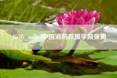 单县中国消防救援学院张勇